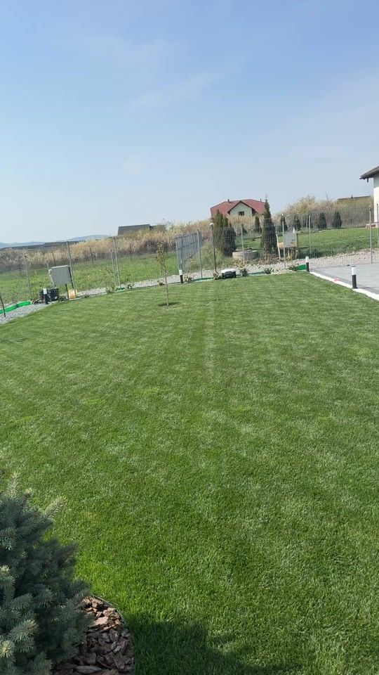 TikTok video thumbnail by mariusgalan.finca.galan