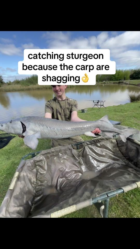 TikTok video thumbnail by uk_fishing43