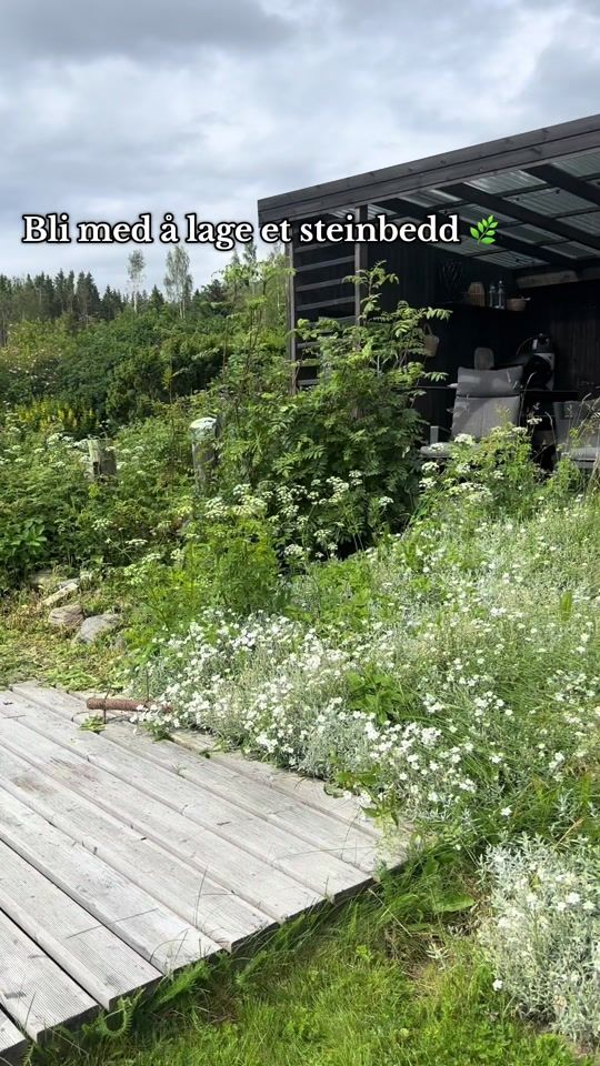 TikTok video thumbnail by katrine.bratberg