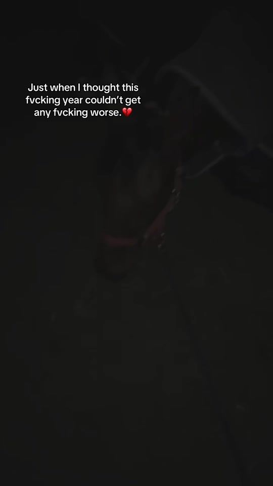 TikTok video thumbnail by specialsaturn