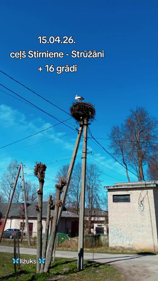 TikTok video thumbnail by ilz552