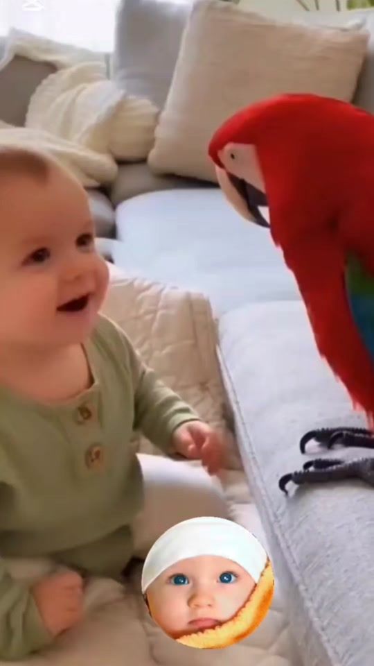 TikTok video thumbnail by myuz638
