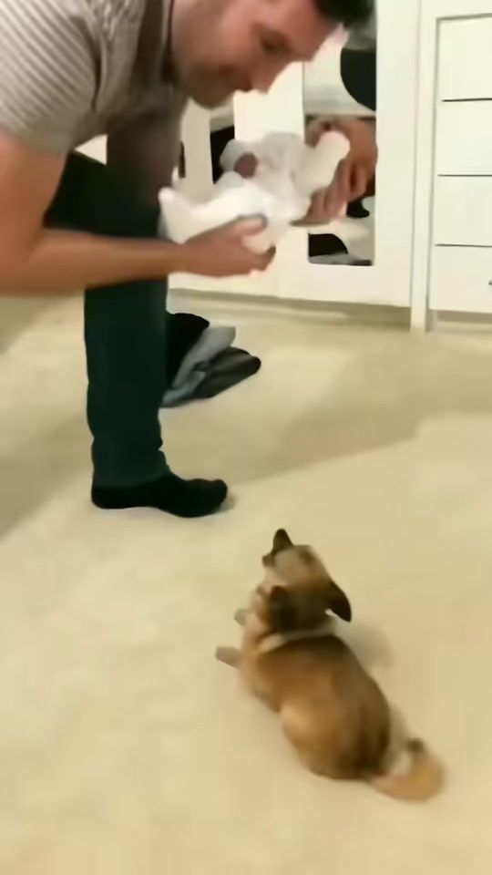 TikTok video thumbnail by martin.j.m