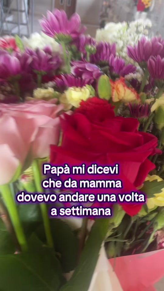 TikTok video thumbnail by rosariolonardo36
