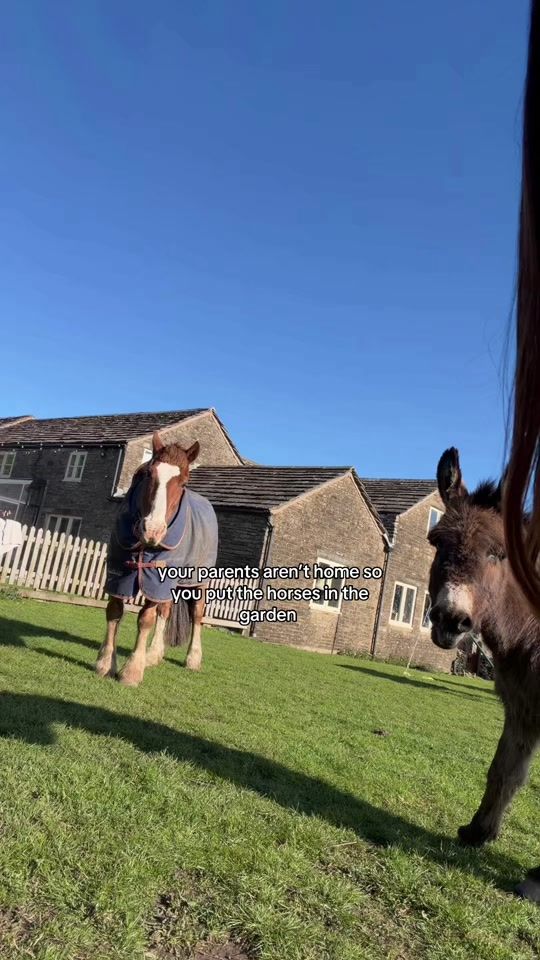 TikTok video thumbnail by libbypartridge.equine