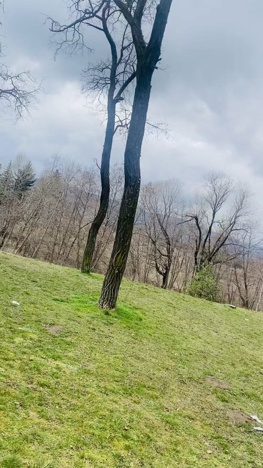 TikTok video thumbnail by hnikolova