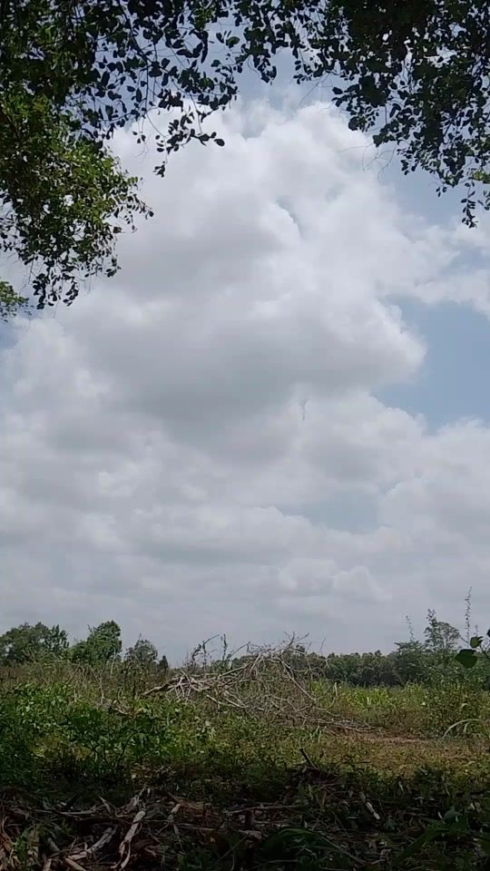 TikTok video thumbnail by rush15205
