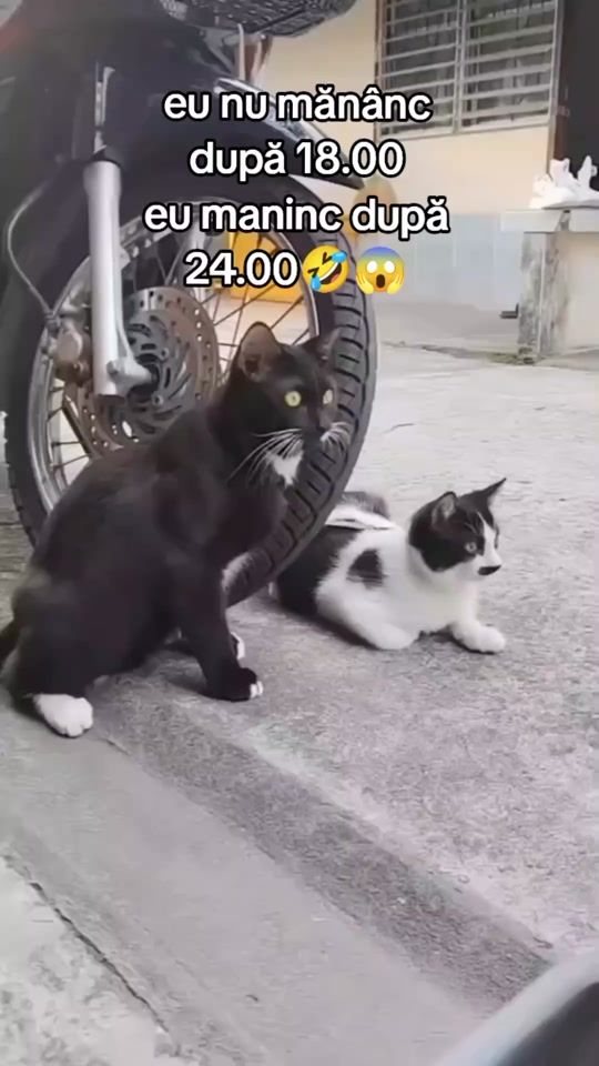 TikTok video thumbnail by brandbutic