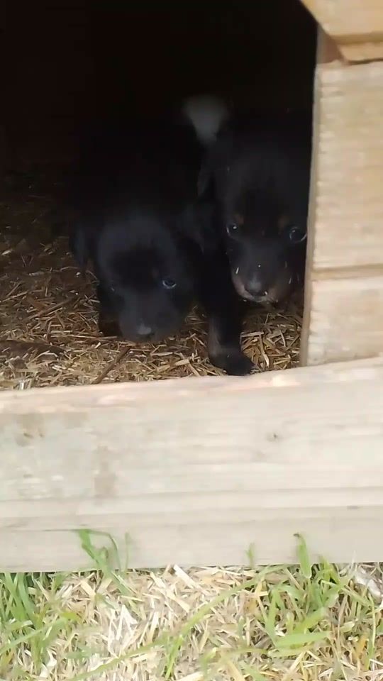 TikTok video thumbnail by lauralaura.16