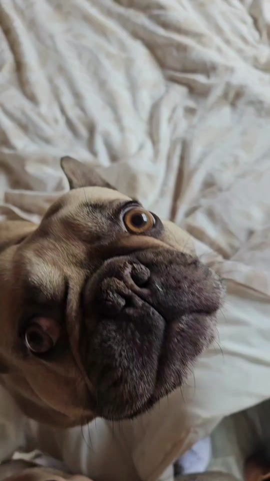 TikTok video thumbnail by jasminewalsh3