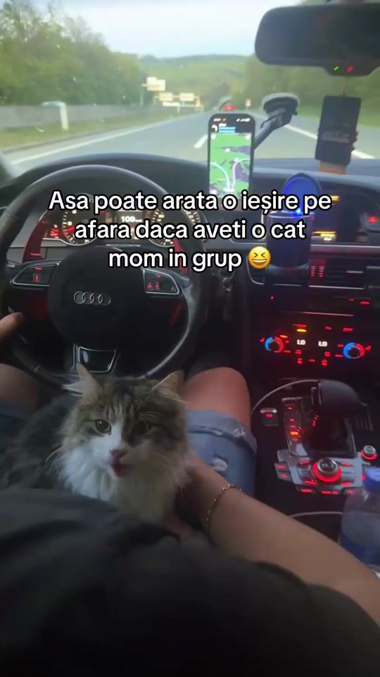 TikTok video thumbnail by andrea.wd._