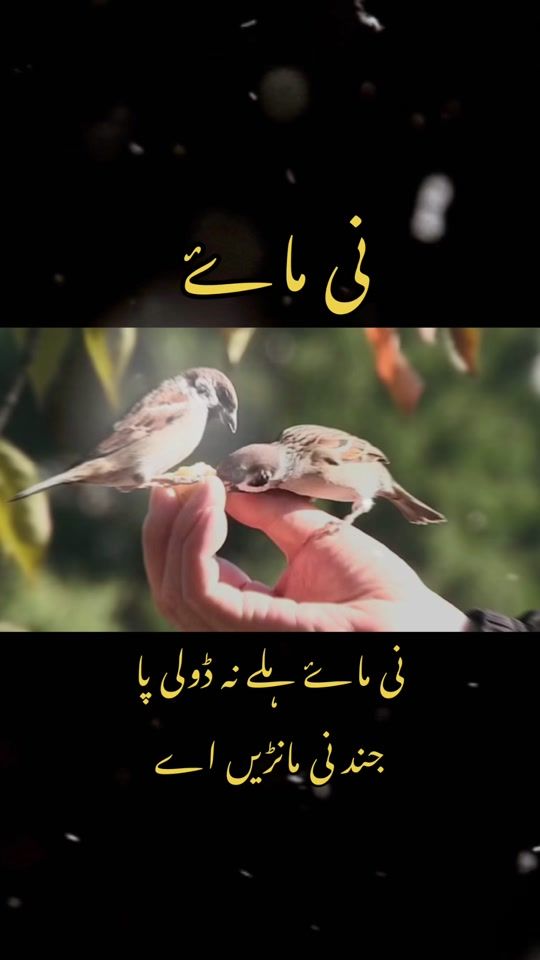 TikTok video thumbnail by jat_3629