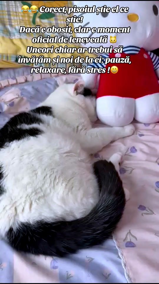 TikTok video thumbnail by ralucasipaulpetre