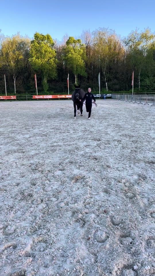 TikTok video thumbnail by vaulting.emma