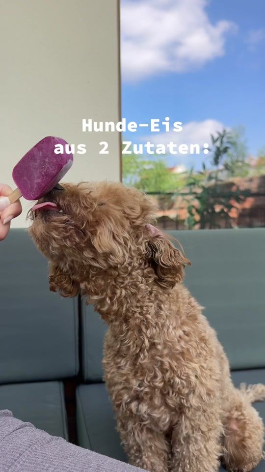 TikTok video thumbnail by pablo.puu
