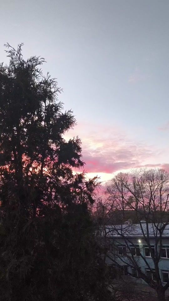 TikTok video thumbnail by saulesaulite