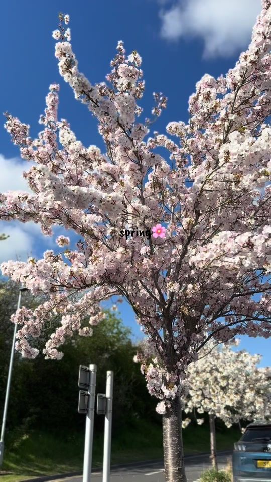 TikTok video thumbnail by cristina.popa12