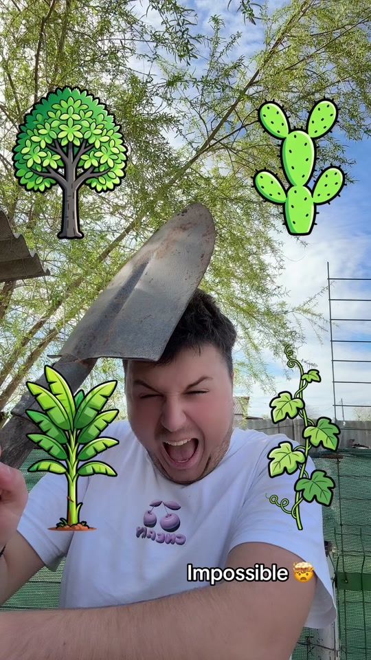 TikTok video thumbnail by .tutu.77