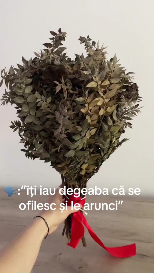 TikTok video thumbnail by lorena_grumazescu