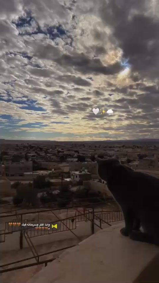 TikTok video thumbnail by user3192621385772