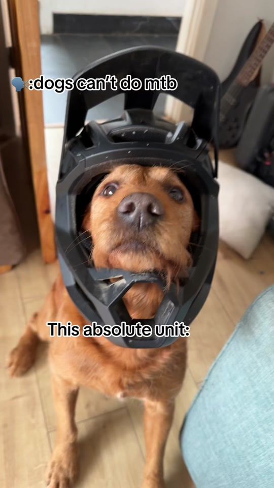 TikTok video thumbnail by ethan_t86