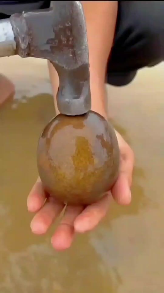 TikTok video thumbnail by s.d..yedountier