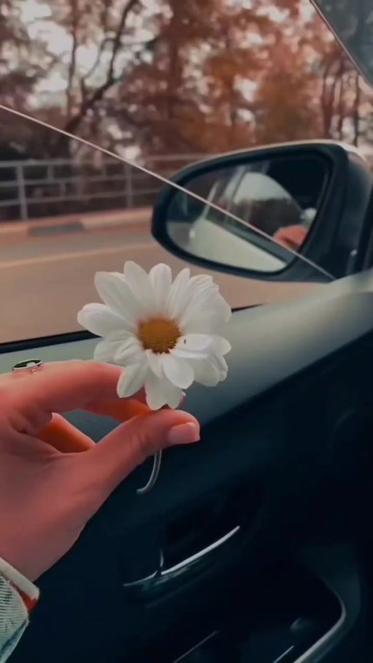 TikTok video thumbnail by user1816567688301