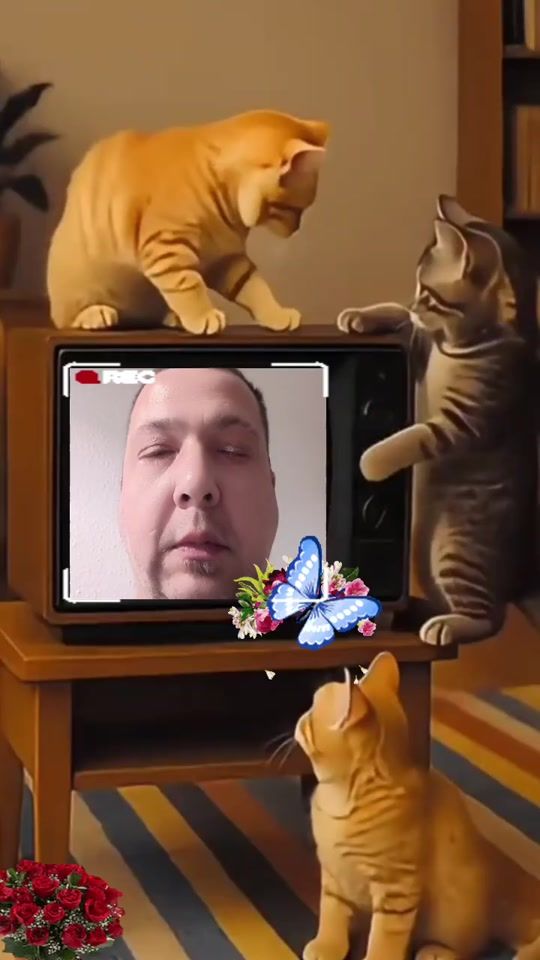 TikTok video thumbnail by borisalexander.wa