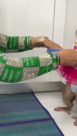 TikTok video thumbnail by mr.monkey.eng