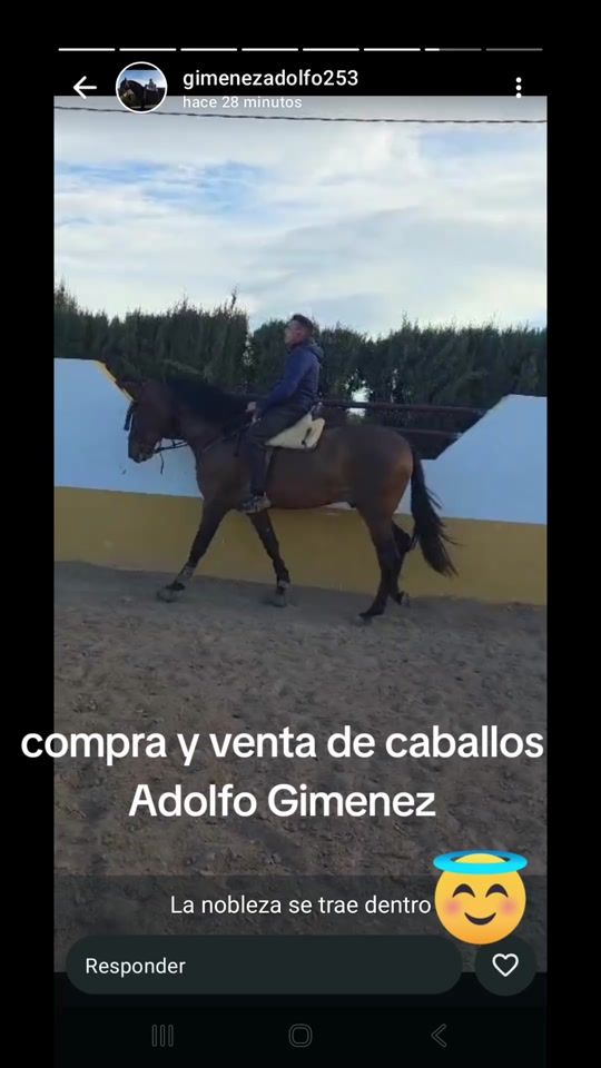 TikTok video thumbnail by moises_bendecido