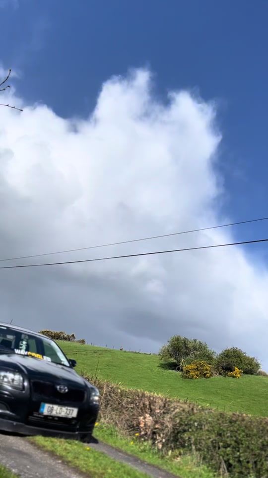 TikTok video thumbnail by oranconway