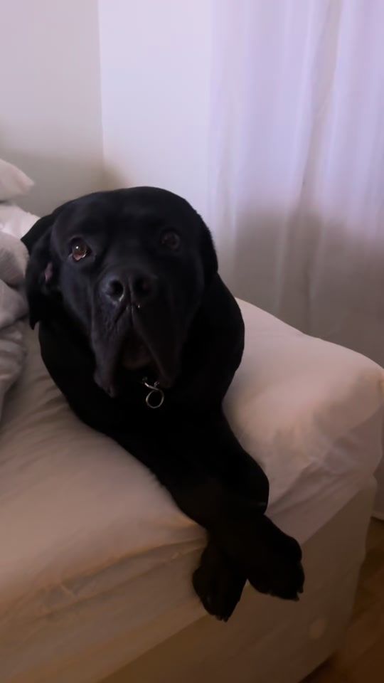 TikTok video thumbnail by imhauser_