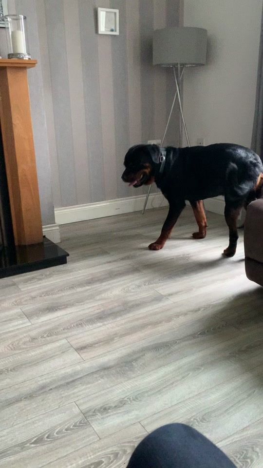 TikTok video thumbnail by garyrodgers1980
