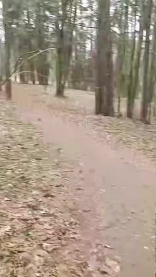 TikTok video thumbnail by mimas_man