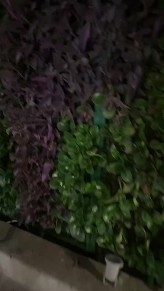 TikTok video thumbnail by nkforever05