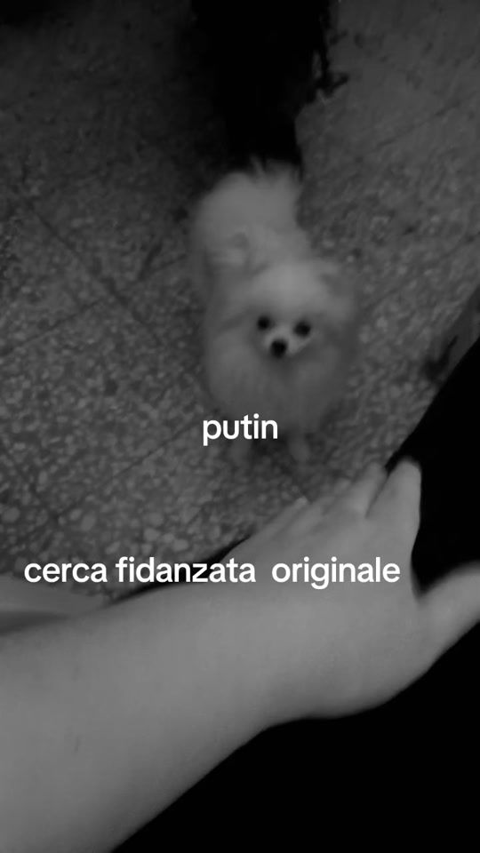 TikTok video thumbnail by piero123arge
