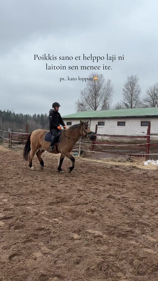 TikTok video thumbnail by showjumping_neaa