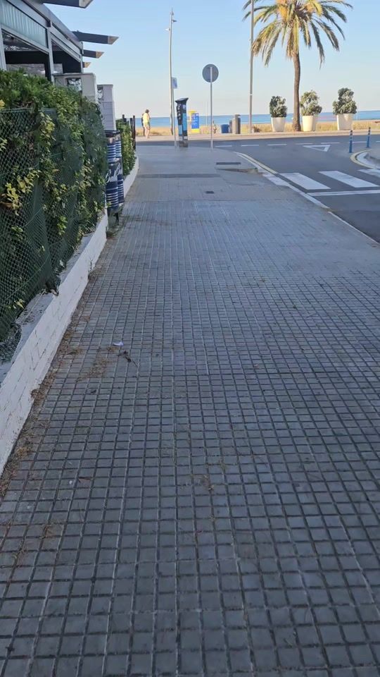 TikTok video thumbnail by flamenquitobuenodebcn