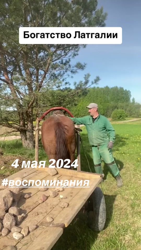 TikTok video thumbnail by viktor..3333