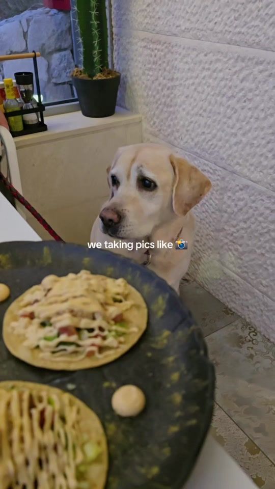 TikTok video thumbnail by chelseaa912