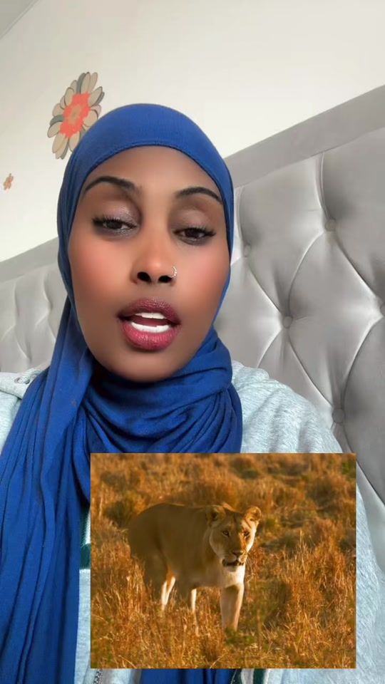 TikTok video thumbnail by allegedly.1
