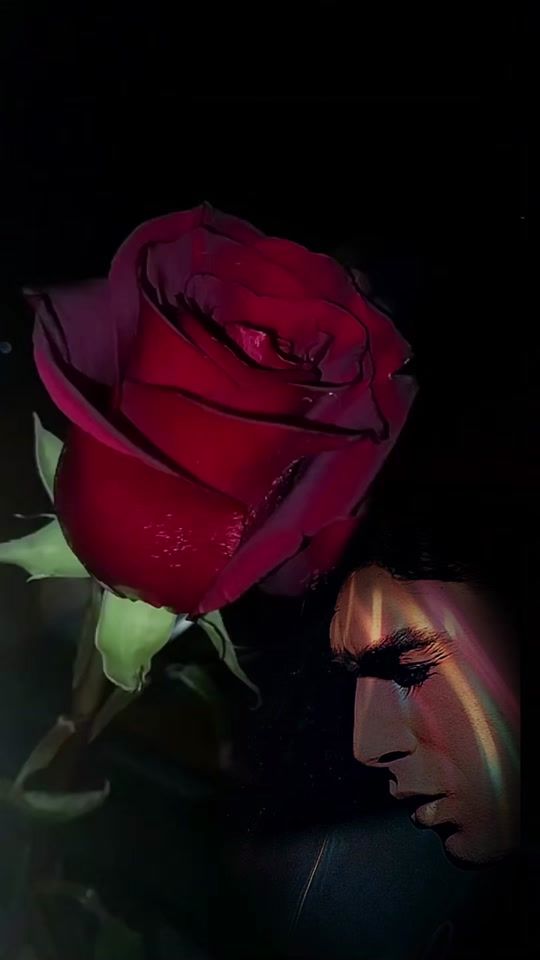 TikTok video thumbnail by fanivas1