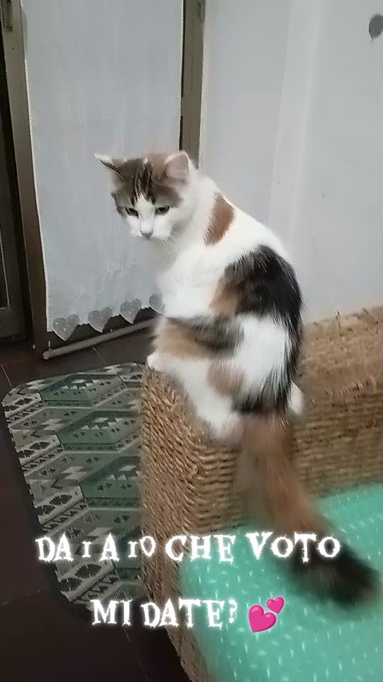 TikTok video thumbnail by yago0606