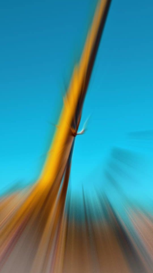 TikTok video thumbnail by somidicta
