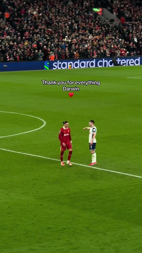 TikTok video thumbnail by lfcshan