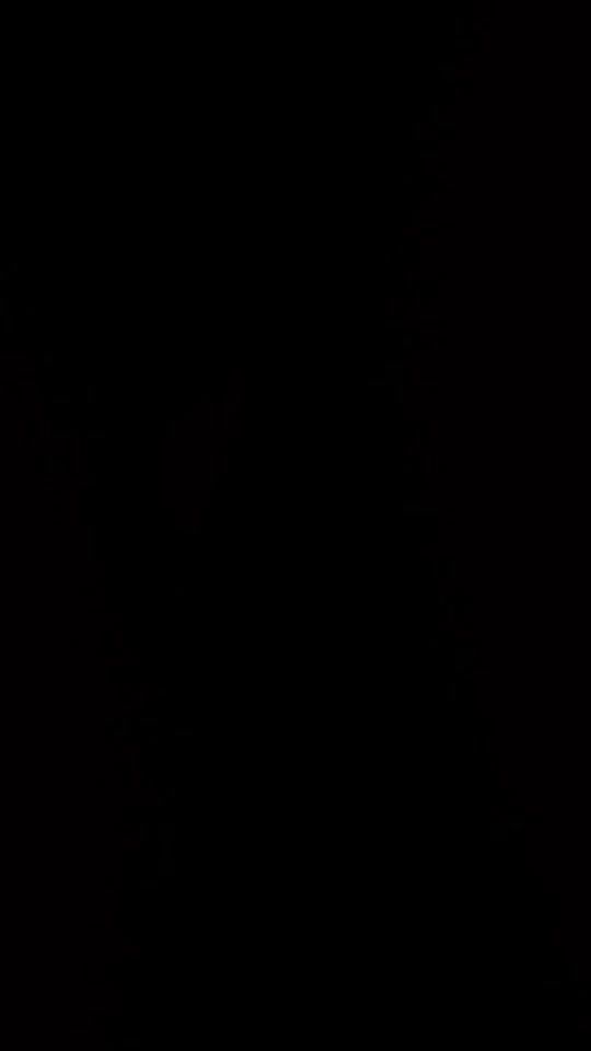 TikTok video thumbnail by bossybeam