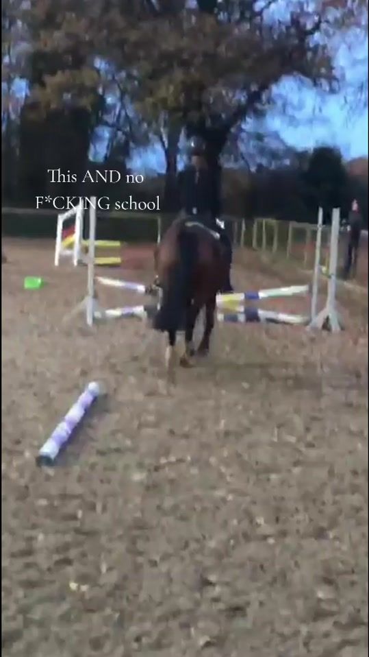 TikTok video thumbnail by caitlin.k213