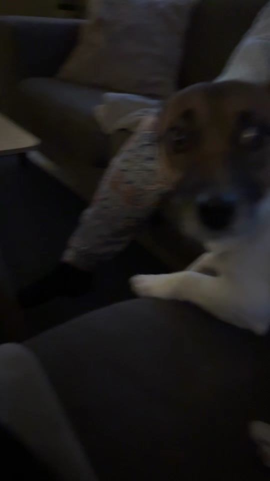 TikTok video thumbnail by rooniemaccaroonie