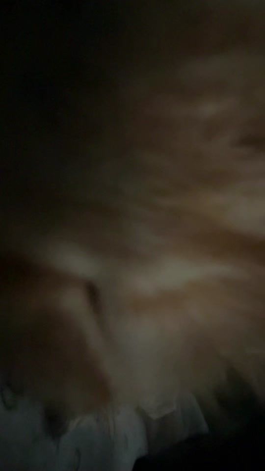 TikTok video thumbnail by liisu794
