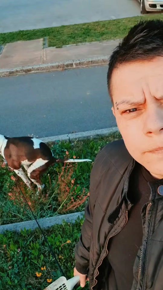 TikTok video thumbnail by shellpulceflash